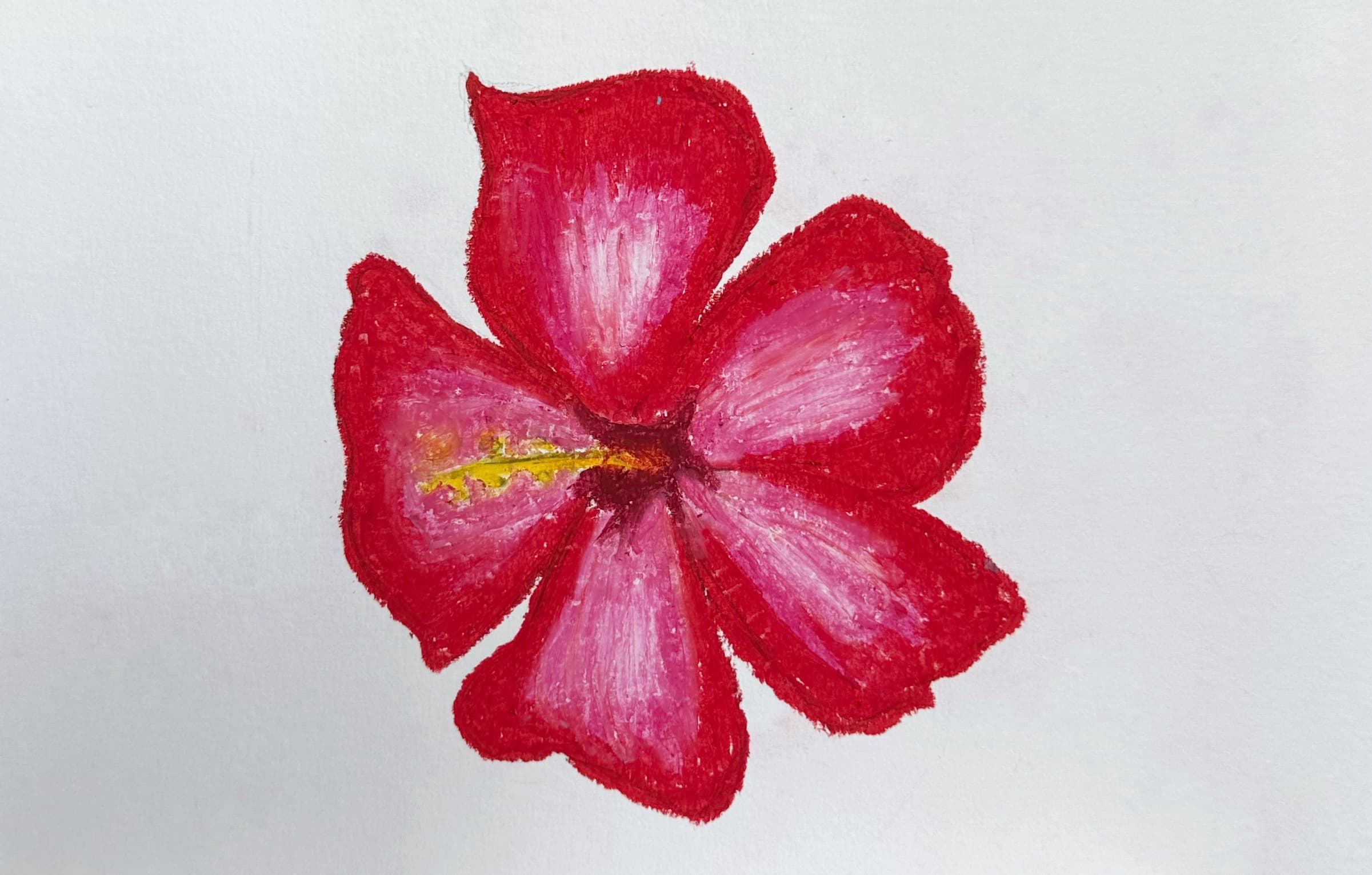 Hibiscus — artwork by Raynee